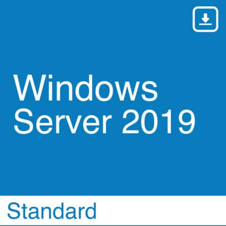 Windows Server 2019 Standard License Key